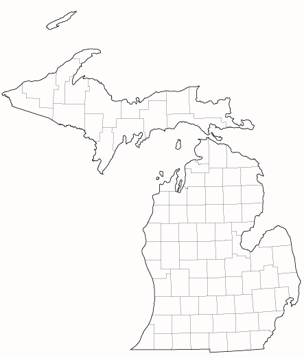 michigan