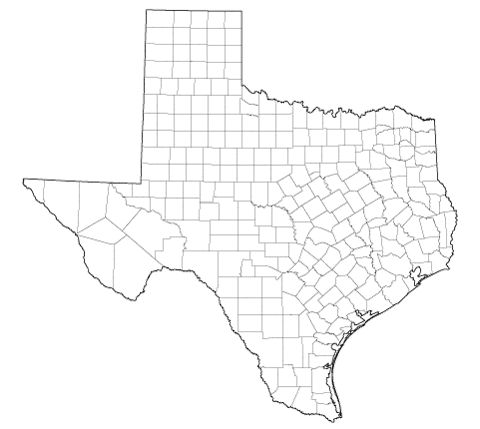 texas