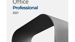 Office-Professional-2021-1 (2) (1)