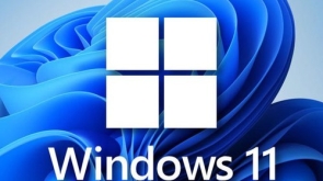 microsoft-windows-11-pro-500x500