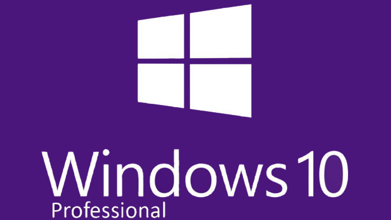 windows10 professional