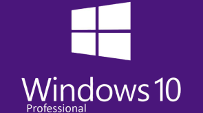windows10 professional