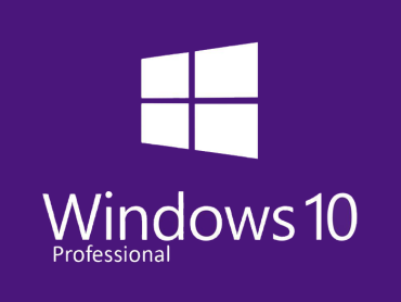 windows10 professional