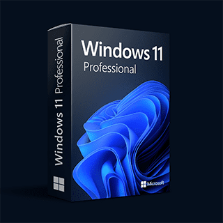 Microsoft  Windows 11 Professional
