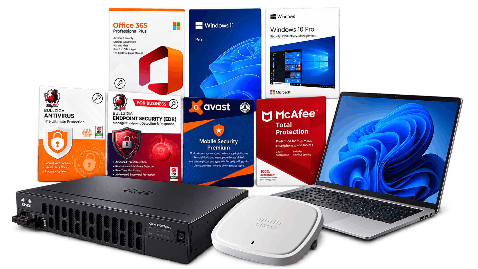 IT hardware and software products